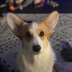 Meet your Posher, Summer